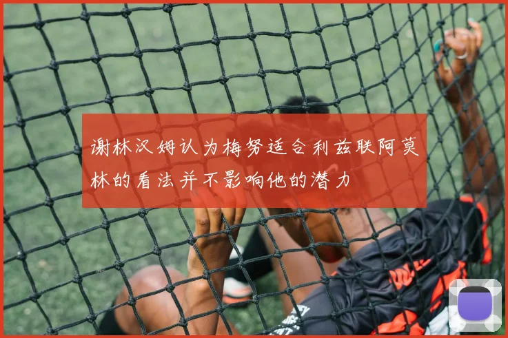 谢林汉姆认为梅努适合利兹联阿莫林的看法并不影响他的潜力