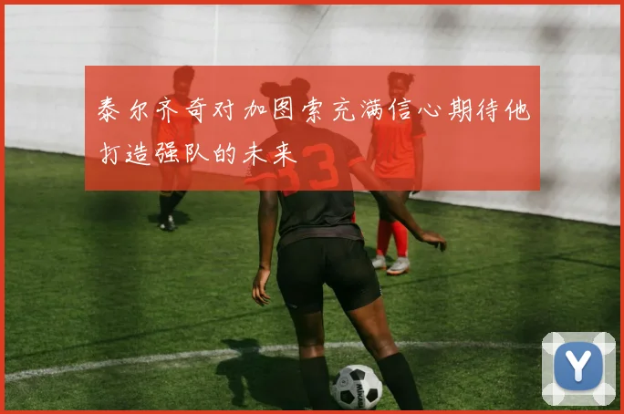 泰尔齐奇对加图索充满信心期待他打造强队的未来
