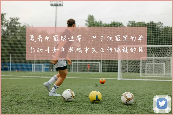夏普的篮球世界：只专注篮筐的单打独斗如同游戏中失去传球键的困境